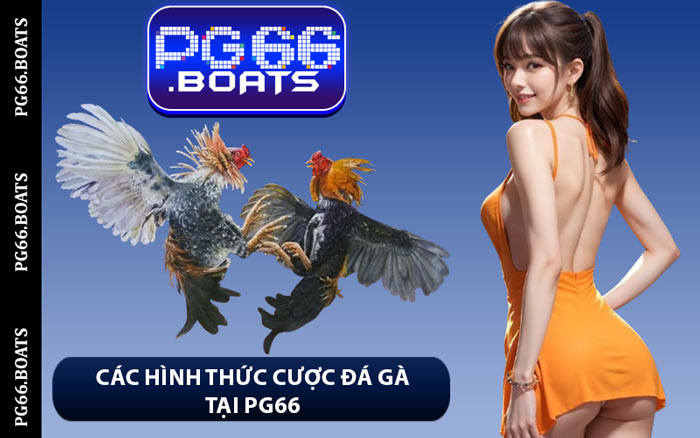 Các Hình Thức Cược Đá Gà Tại PG66