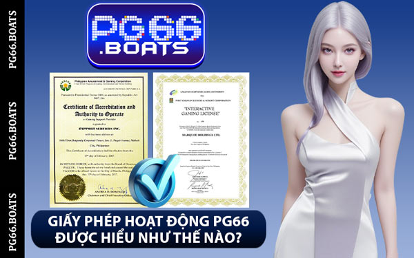 Giấy Phép Hoạt Động PG66 Được Hiểu Như Thế Nào?