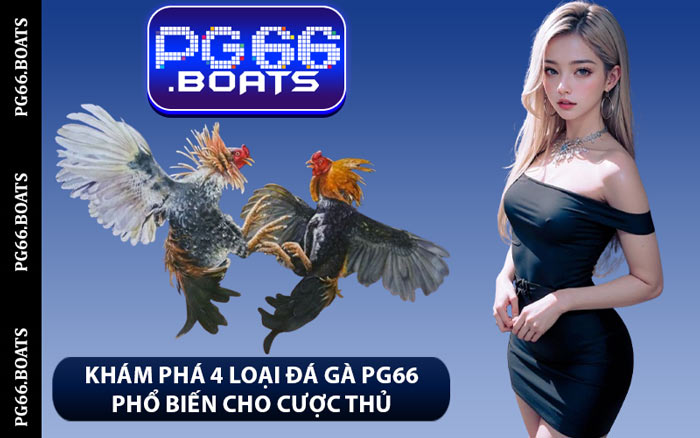 Khám Phá 4 Loại Đá Gà PG66 Phổ Biến Cho Cược Thủ