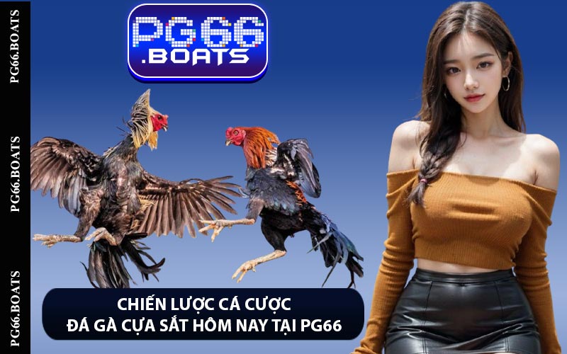 Chiến Lược Cá Cược Đá Gà Cựa Sắt Hôm Nay Tại PG66