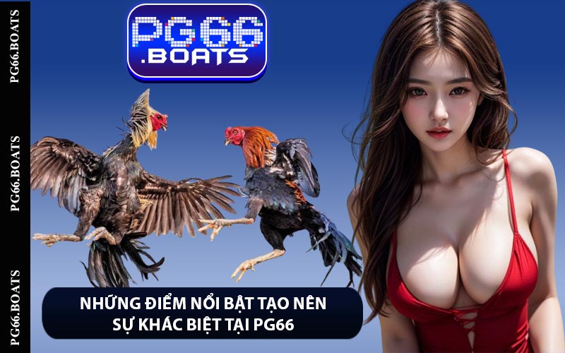 Những Điểm Nổi Bật Tạo Nên Sự Khác Biệt Tại PG66